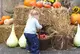 Ein Kleinkind steht am herbstlich geschmückten Brunnen und greift nach einem Apfel